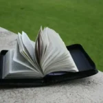 Introducing DigiBridge Ads